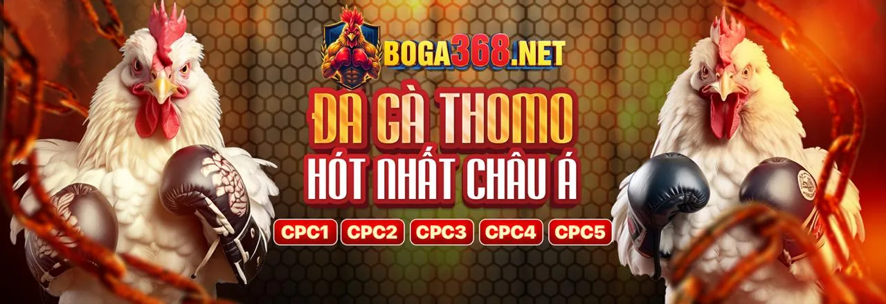 Các chương trình khuyến mãi hấp dẫn của na99