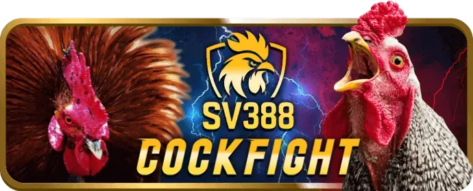 Cá cược bóng rổ na99